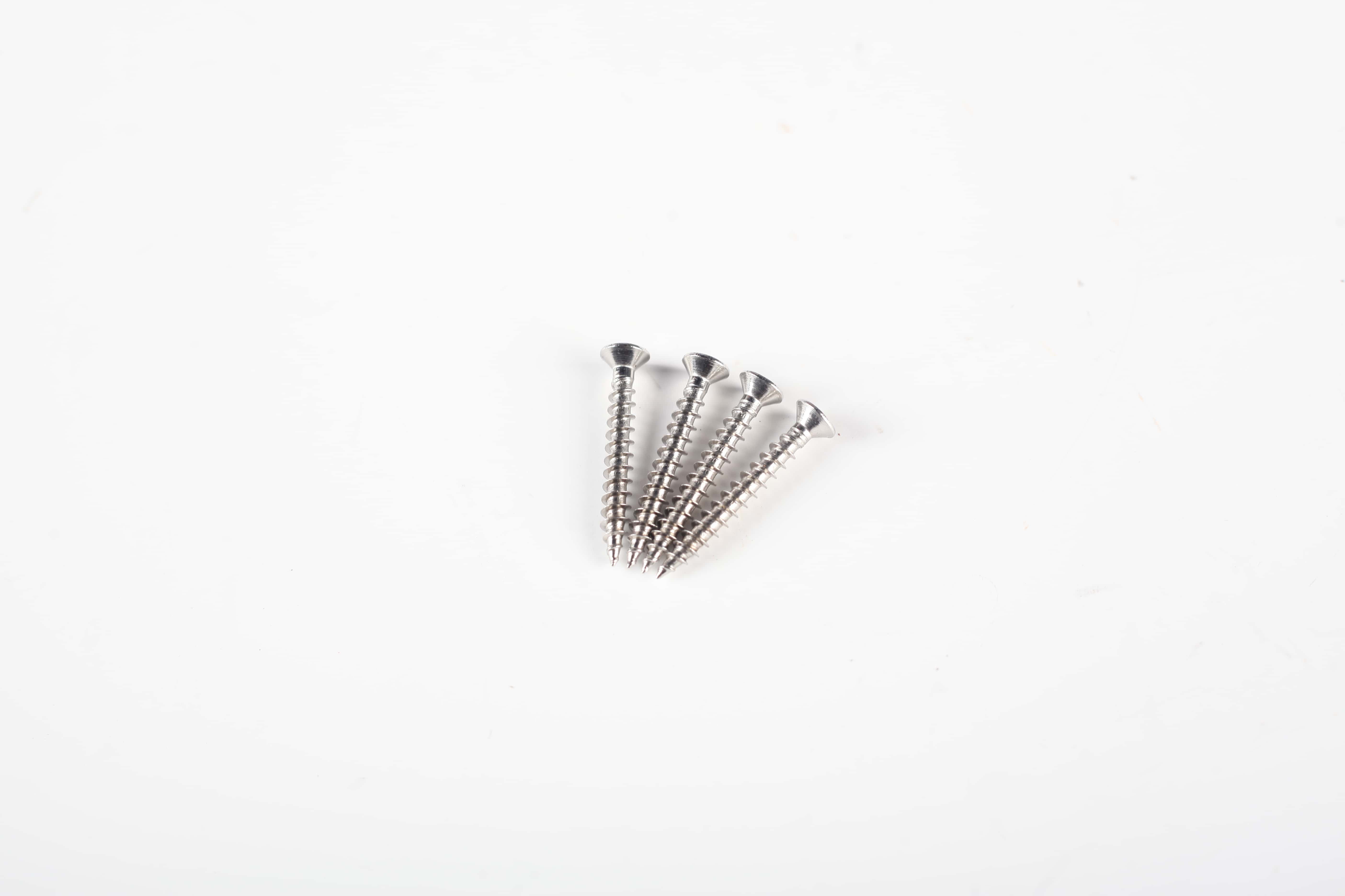 SS Screw